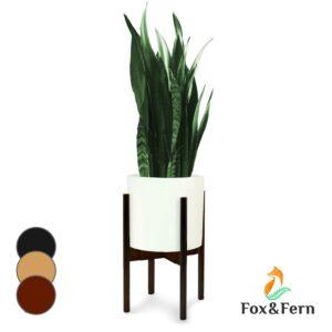 Fox & Fern Deventer