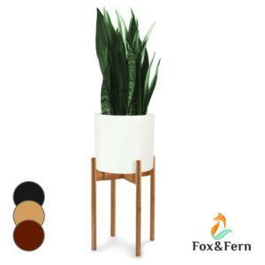Fox & Fern Deventer