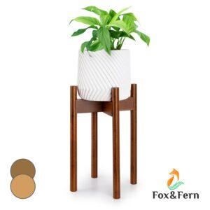 Fox & Fern Deventer